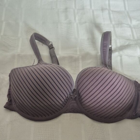 Kathy Ireland Mauve Striped Bra - Picture 12 of 16